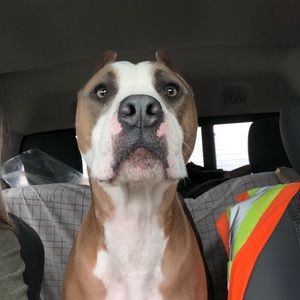 Meet your Posher, Sara